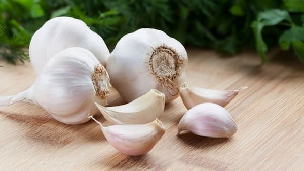 تصویر 3 از قیمت سیر صادراتی + خرید باور نکردنی